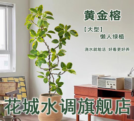 花城水调旗舰店